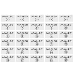 Teemanditikand - 5D teemantmosaiik "Hortensiad vaasis" Soodukas.Com