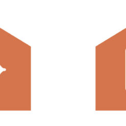 Helendav ämblikuvõrk + 20 ämblikku Soodukas.Com