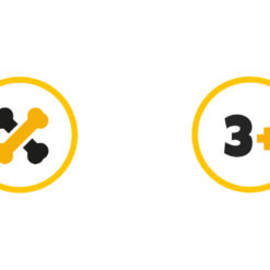 Väljakaevamiskomplekt dinosaurustega 6tk Soodukas.Com