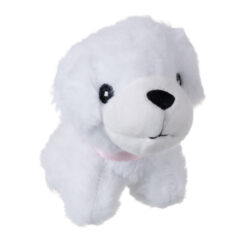 Koera ilusalong Soodukas.Com