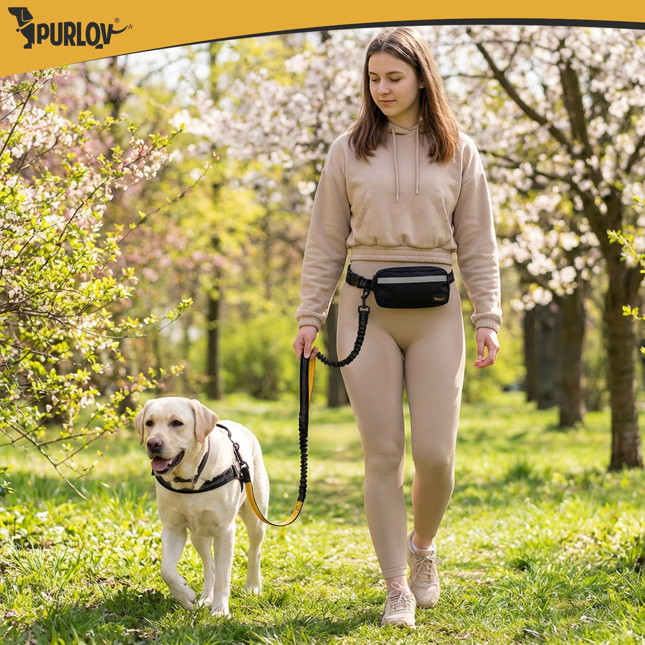 Puusavööga koerarihm + lisatarvikud – Soodukas.Com Puusavööga koerarihm + lisatarvikud - Image 12