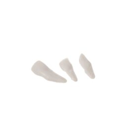 Anatoomiline 1:1 inimskeleti mudel 180cm + ratastega alus ja kate – Soodukas.Com Anatoomiline 1:1 inimskeleti mudel 180cm + ratastega alus ja kate Soodukas.Com