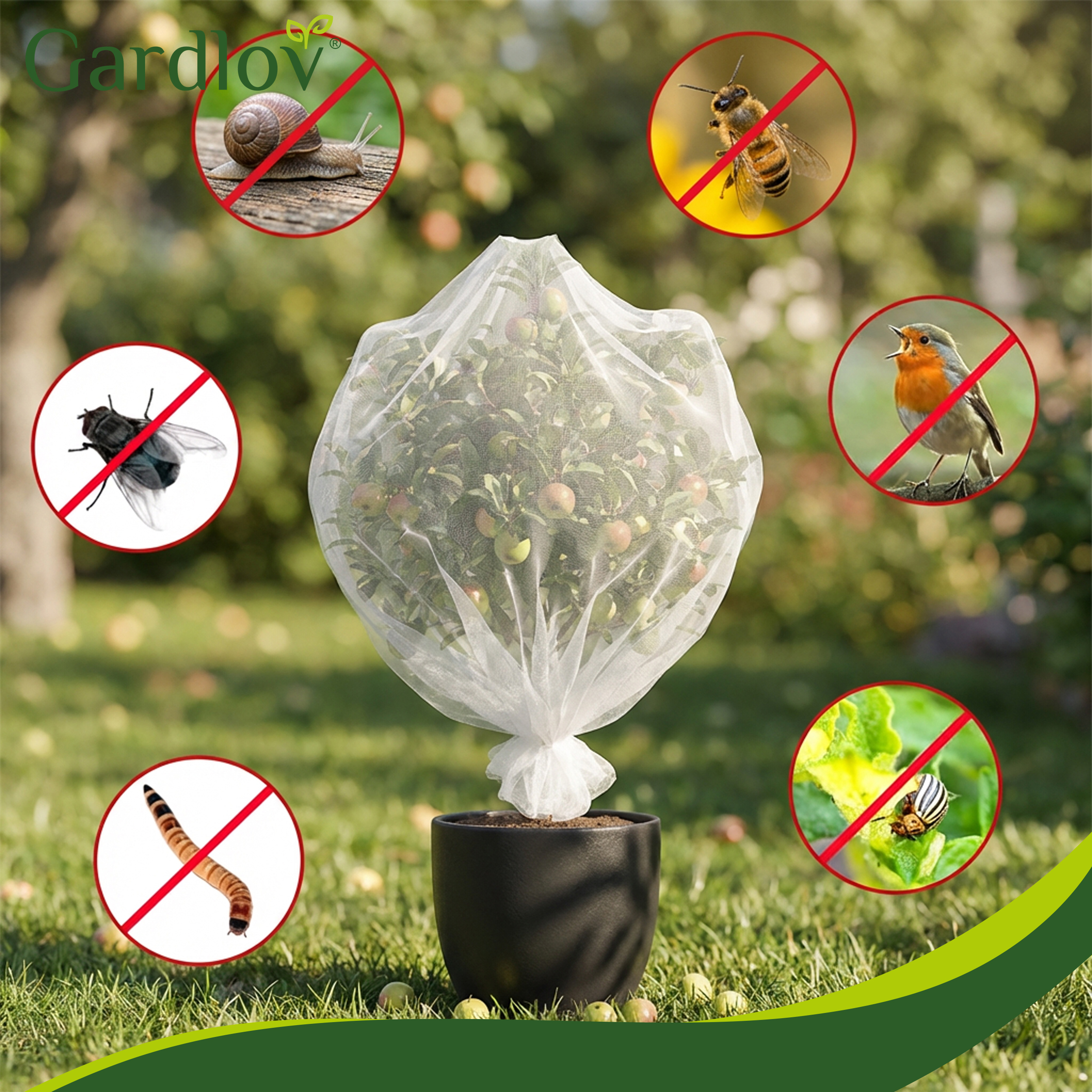 Putuka- ja linnukaitsevõrk taimedele 3×6m – Soodukas.Com Putuka- ja linnukaitsevõrk taimedele 3×6m - Image 11