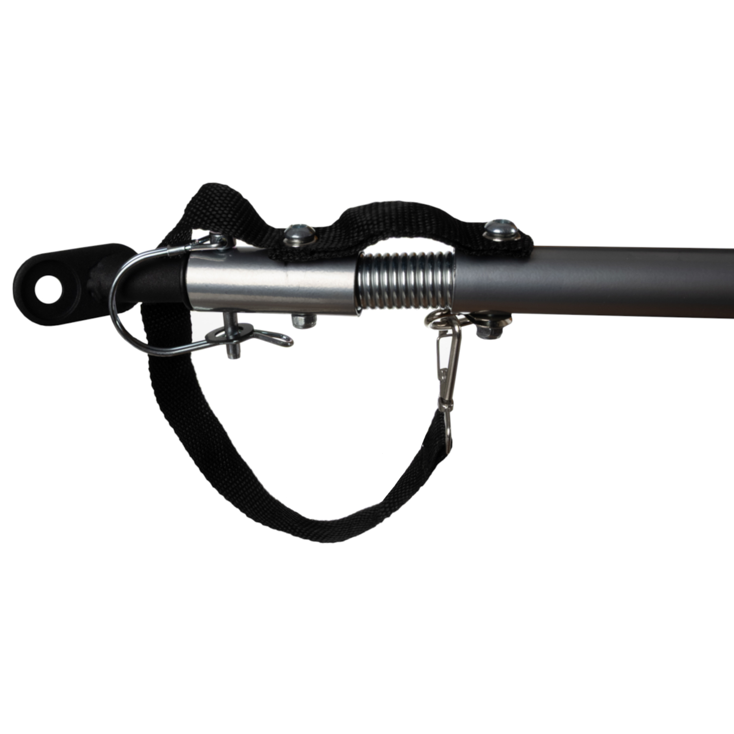 Jalgrattahaagis koerale – Soodukas.Com Jalgrattahaagis koerale - Image 10