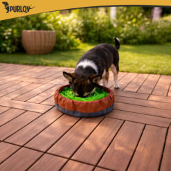 Nuuskimismatt lemmikloomale Soodukas.Com