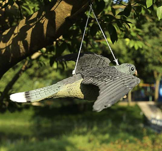 Pistrikukujuline linnupeleti 51cm – Soodukas.Com Pistrikukujuline linnupeleti 51cm - Image 10