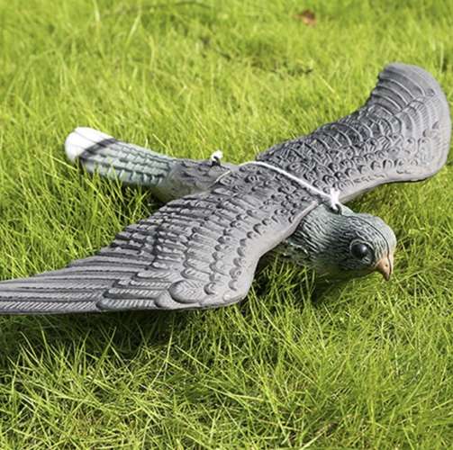 Pistrikukujuline linnupeleti 51cm – Soodukas.Com Pistrikukujuline linnupeleti 51cm - Image 12