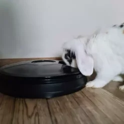 Automaatne taimeriga söötur lemmikloomadele Soodukas.Com