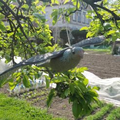 Pistrikukujuline linnupeleti 51cm – Soodukas.Com Pistrikukujuline linnupeleti 51cm Soodukas.Com