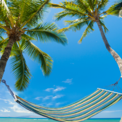 Hamak ogrodowy wzmocniony w paski kolorowy drewno bujak huśtawka 200 x 80 Soodukas.Com