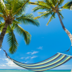 Hamak ogrodowy wzmocniony w paski kolorowy drewno bujak huśtawka 200 x 80 – Soodukas.Com Hamak ogrodowy wzmocniony w paski kolorowy drewno bujak huśtawka 200 x 80 Soodukas.Com