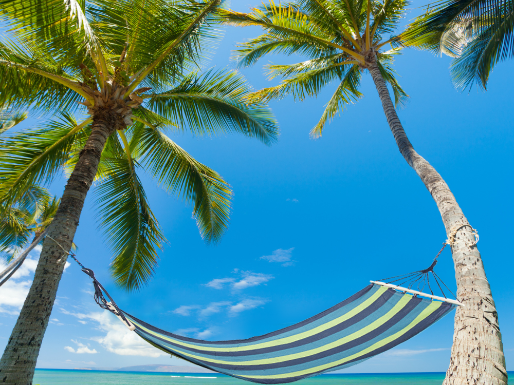 Hamak ogrodowy wzmocniony w paski kolorowy drewno bujak huśtawka 200 x 80 – Soodukas.Com Hamak ogrodowy wzmocniony w paski kolorowy drewno bujak huśtawka 200 x 80 - Image 15