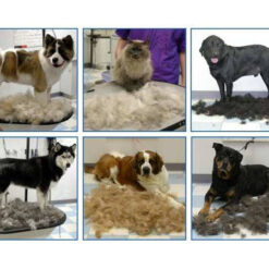 Trymer harja loomadele koerale kassile hevosele 10cm – Soodukas.Com Trymer harja loomadele koerale kassile hevosele 10cm Soodukas.Com