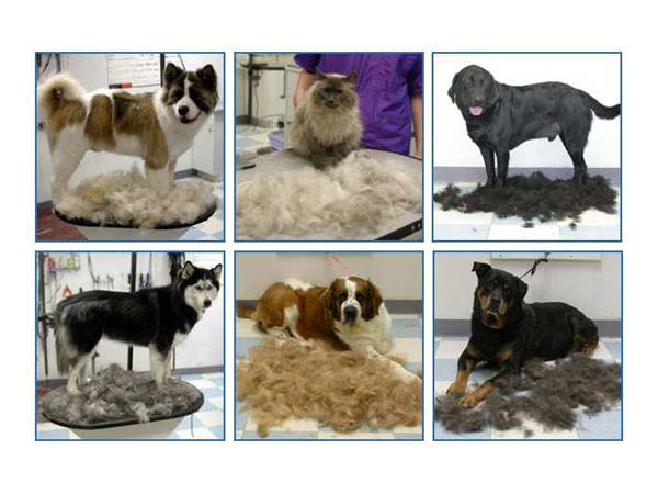 Aluskarva eemaldav trimmer 7 cm – Soodukas.Com Aluskarva eemaldav trimmer 7 cm - Image 4