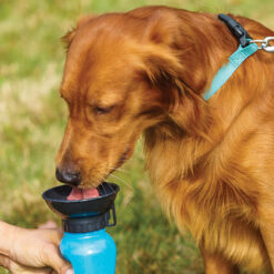 Reisipudel koera kauss 0.5l Soodukas.Com