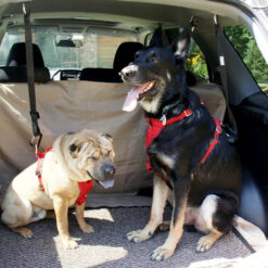 Pas pasy do samochodu dla psa smycz bezpieczeństwa Soodukas.Com