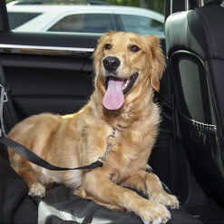 Pas pasy do samochodu dla psa smycz bezpieczeństwa Soodukas.Com