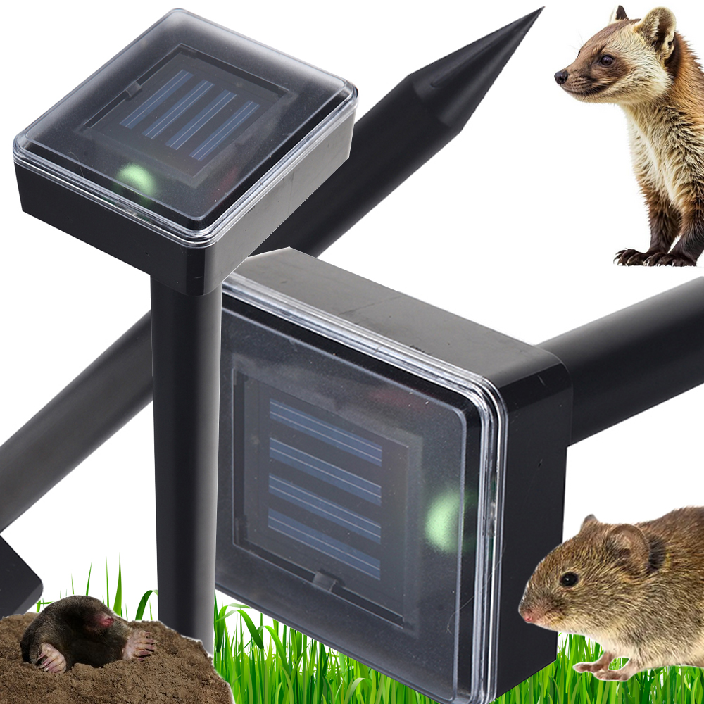 Võimalik soolari dispersioon krette nornets mums muns grosses 1000 m2 – Soodukas.Com Võimalik soolari dispersioon krette nornets mums muns grosses 1000 m2