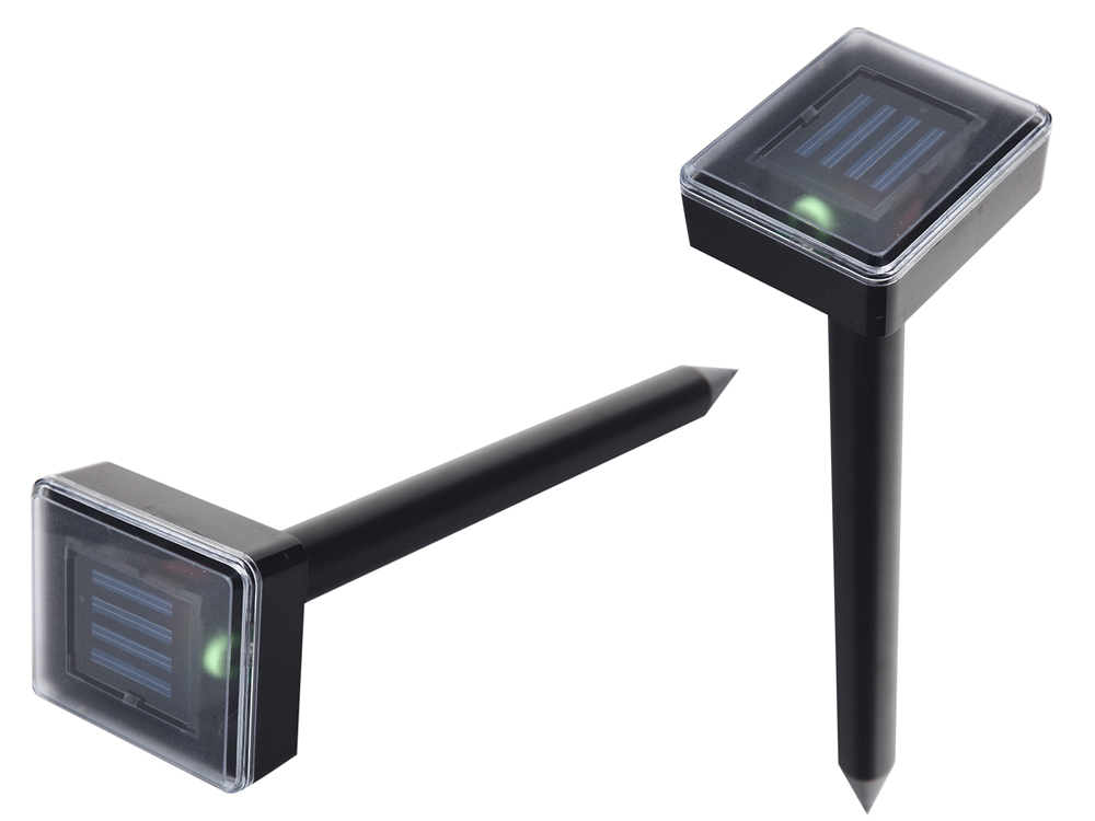 Võimalik soolari dispersioon krette nornets mums muns grosses 1000 m2 – Soodukas.Com Võimalik soolari dispersioon krette nornets mums muns grosses 1000 m2 - Image 12