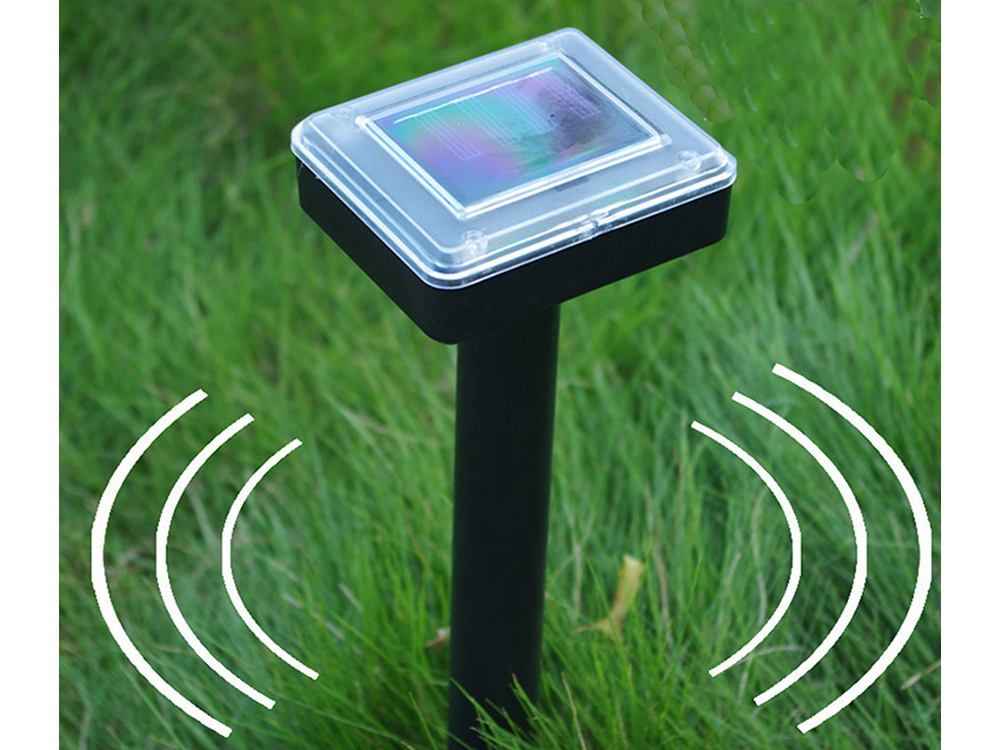 Võimalik soolari dispersioon krette nornets mums muns grosses 1000 m2 – Soodukas.Com Võimalik soolari dispersioon krette nornets mums muns grosses 1000 m2 - Image 14