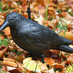 Suur linnu- ja näriliste peletaja Soodukas.Com