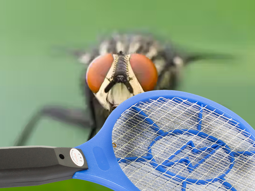 Elektriline putukapüüdja – Soodukas.Com Elektriline putukapüüdja - Image 17