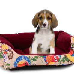 Mugav lemmiklooma pesa – Soodukas.Com Mugav lemmiklooma pesa Soodukas.Com