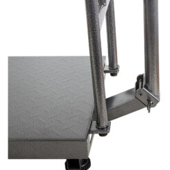 Tööstuslik elektrooniline kaal 300kg Soodukas.Com