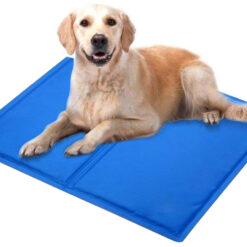 Veekindel jahutusmatt lemmikloomale Soodukas.Com