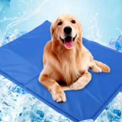 Veekindel jahutusmatt lemmikloomale Soodukas.Com