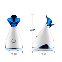 Näohoolduse aurusaun niisutuseks Soodukas.Com