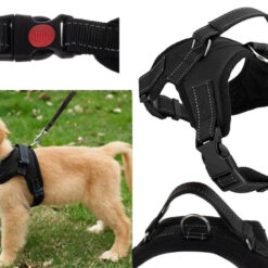 Mugavad koerarakmed jalutuskäikudeks – Soodukas.Com Mugavad koerarakmed jalutuskäikudeks Soodukas.Com