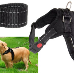 Mugavad koerarakmed jalutuskäikudeks – Soodukas.Com Mugavad koerarakmed jalutuskäikudeks Soodukas.Com