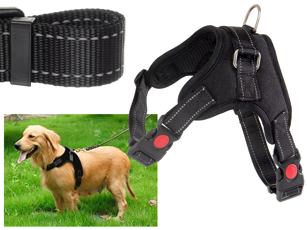 Mugavad koerarakmed jalutuskäikudeks – Soodukas.Com Mugavad koerarakmed jalutuskäikudeks - Image 6