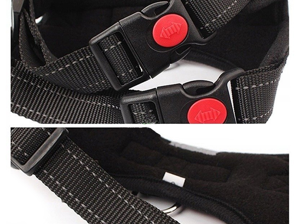 Mugavad koerarakmed jalutuskäikudeks – Soodukas.Com Mugavad koerarakmed jalutuskäikudeks - Image 11