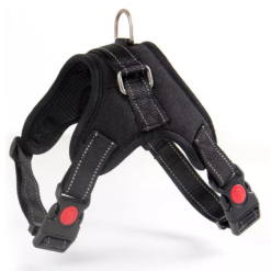 Mugavad koera jalutusrihmad – Soodukas.Com Mugavad koera jalutusrihmad Soodukas.Com