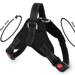 Mugavad koera jalutusrihmad – Soodukas.Com Mugavad koera jalutusrihmad Soodukas.Com