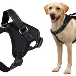 Mugavad koera jalutusrihmad – Soodukas.Com Mugavad koera jalutusrihmad Soodukas.Com