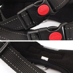 Mugavad koera jalutusrihmad – Soodukas.Com Mugavad koera jalutusrihmad Soodukas.Com