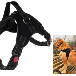 Mugavad koerarakmed jalutuskäikudeks – Soodukas.Com Mugavad koerarakmed jalutuskäikudeks Soodukas.Com