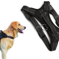 Mugavad koerarakmed jalutuskäikudeks – Soodukas.Com Mugavad koerarakmed jalutuskäikudeks Soodukas.Com