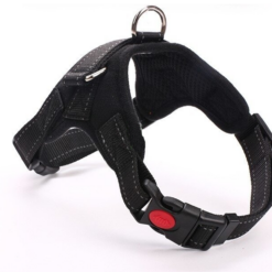 Mugavad koerarakmed jalutuskäikudeks – Soodukas.Com Mugavad koerarakmed jalutuskäikudeks Soodukas.Com