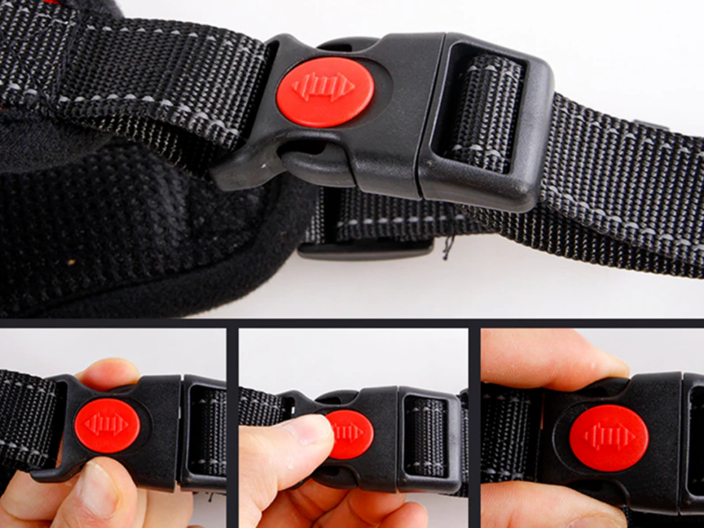 Mugavad koerarakmed jalutuskäikudeks – Soodukas.Com Mugavad koerarakmed jalutuskäikudeks - Image 10