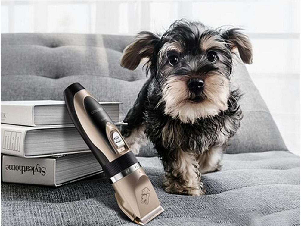 Lemmiklooma hoolduskomplekt – Soodukas.Com Lemmiklooma hoolduskomplekt - Image 5