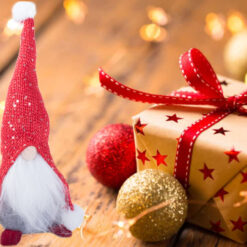 Lustakas jõulukääbus kodukaunistuseks Soodukas.Com