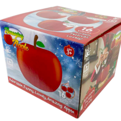 Jõuluteemaline animatsiooniprojektor Soodukas.Com