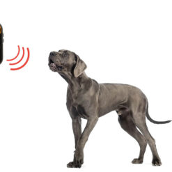 Ultraviolettne koerapeletaja Soodukas.Com