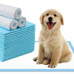 Imavad koeramattide komplekt – Soodukas.Com Imavad koeramattide komplekt Soodukas.Com