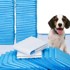 Imavad koera treeningmatid Soodukas.Com