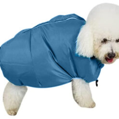 Kiire lemmiklooma kuivatustarvik – Soodukas.Com Kiire lemmiklooma kuivatustarvik Soodukas.Com